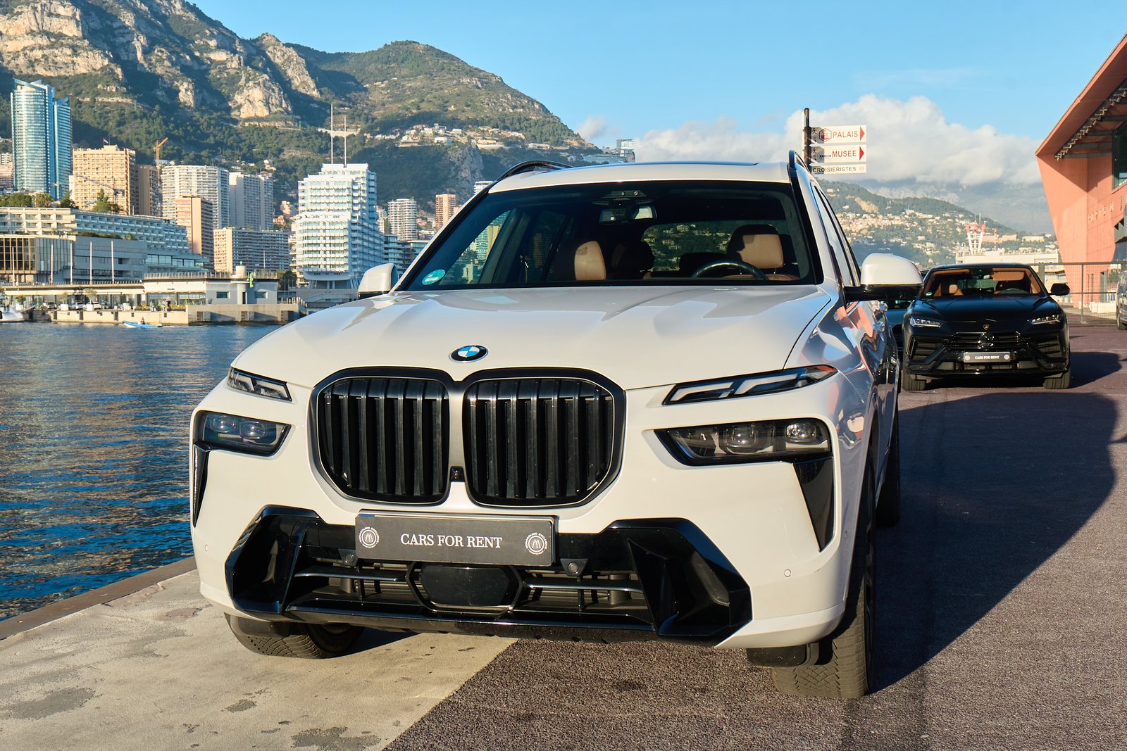 BMW X7 — photo 10